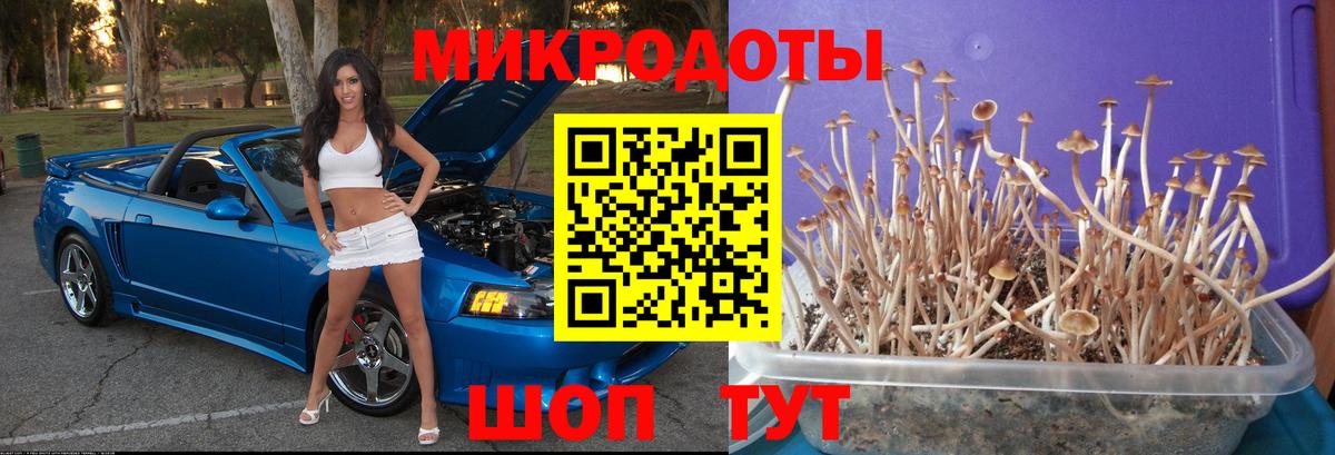 где найти   Псилоцибиновые грибы Magic Shrooms  Вход с VPN  Гай 